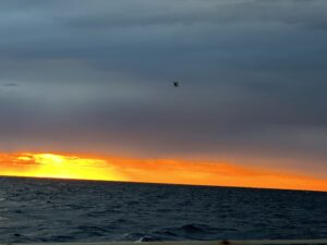 IMG_4624