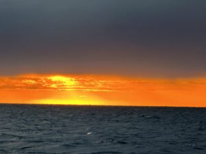 IMG_4625