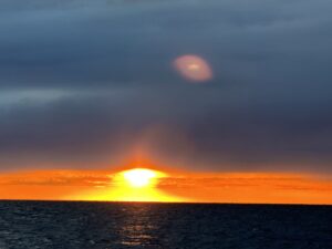 IMG_4626